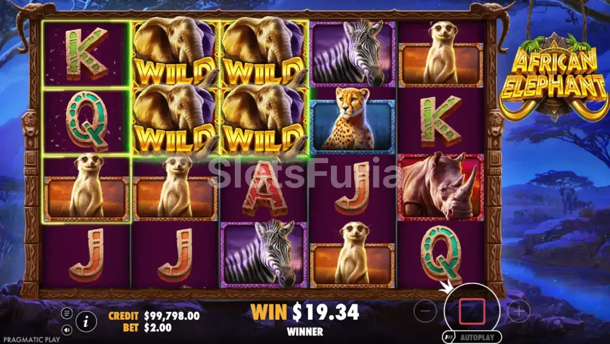 Ronda de tiradas gratuitas activa en African Elephant con multiplicadores visibles