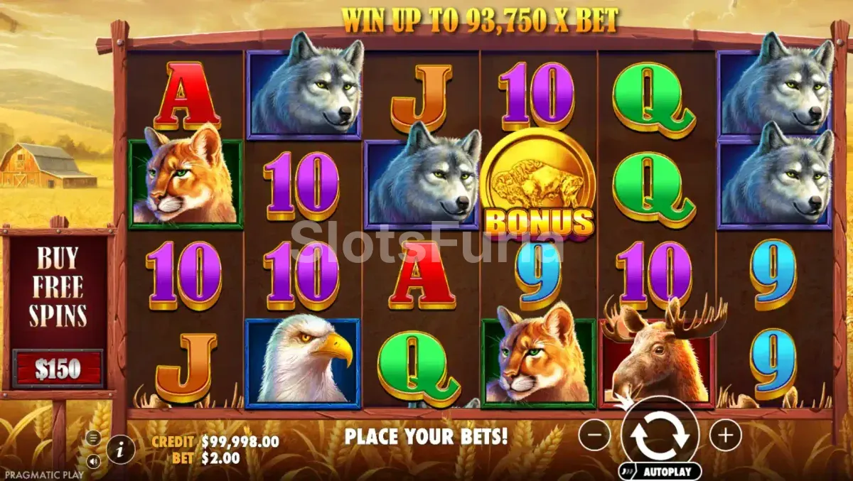 Juego base de Buffalo King con la cuadrícula de 6 rodillos