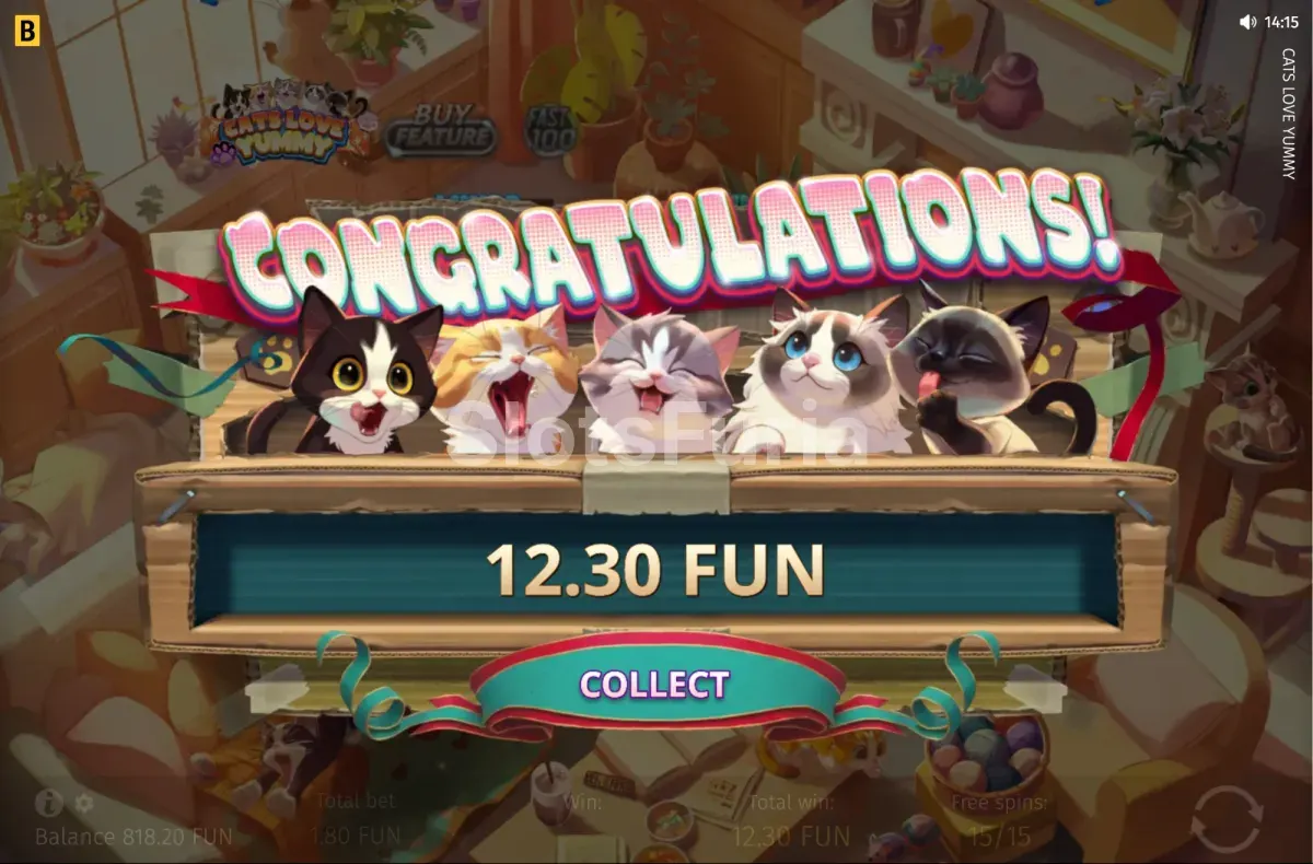 Gran ganancia celebrada en pantalla en Cats Love Yummy