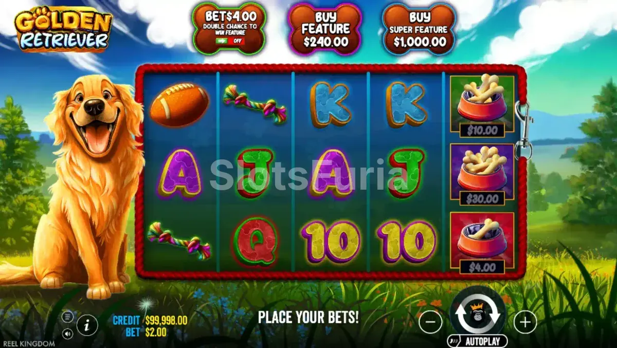 Juego base de Golden Retriever con la grilla de 5x3 y el perro junto a los rodillos
