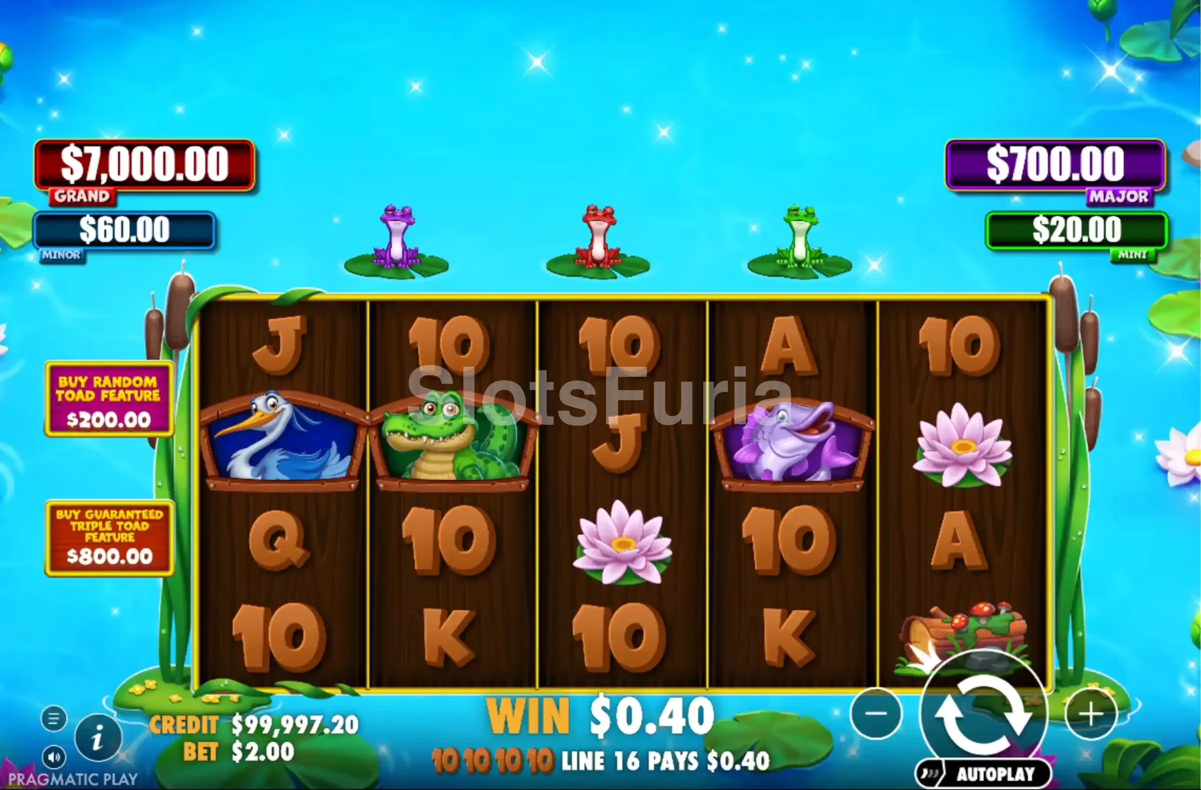 Juego base de Tiny Toads con los tres sapos sobre los nenúfares