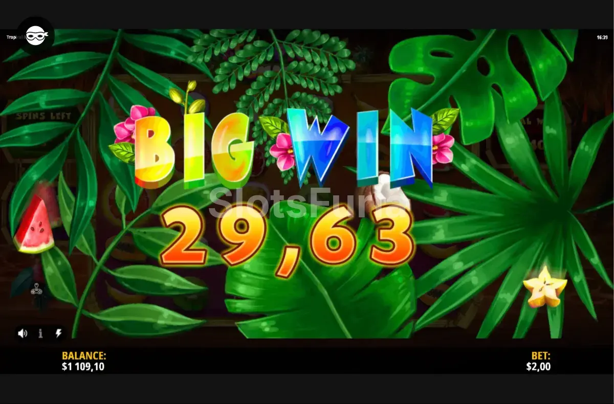 Gran victoria conseguida en Tropical Bonanza por iSoftBet